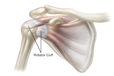 Anatomia cuffia dei rotatori